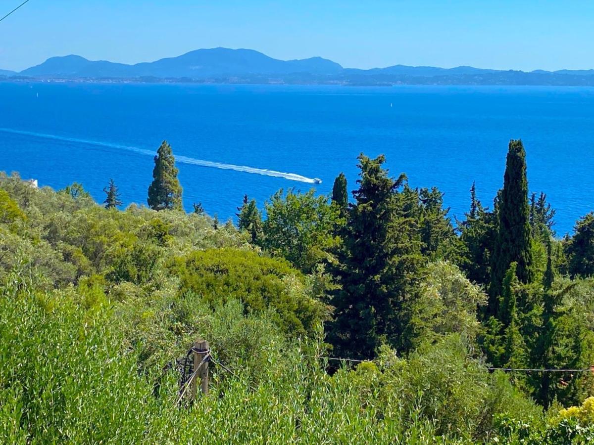 Villa Aliki Nissaki With Private Pool By Dadovillas Nisaki  外观 照片