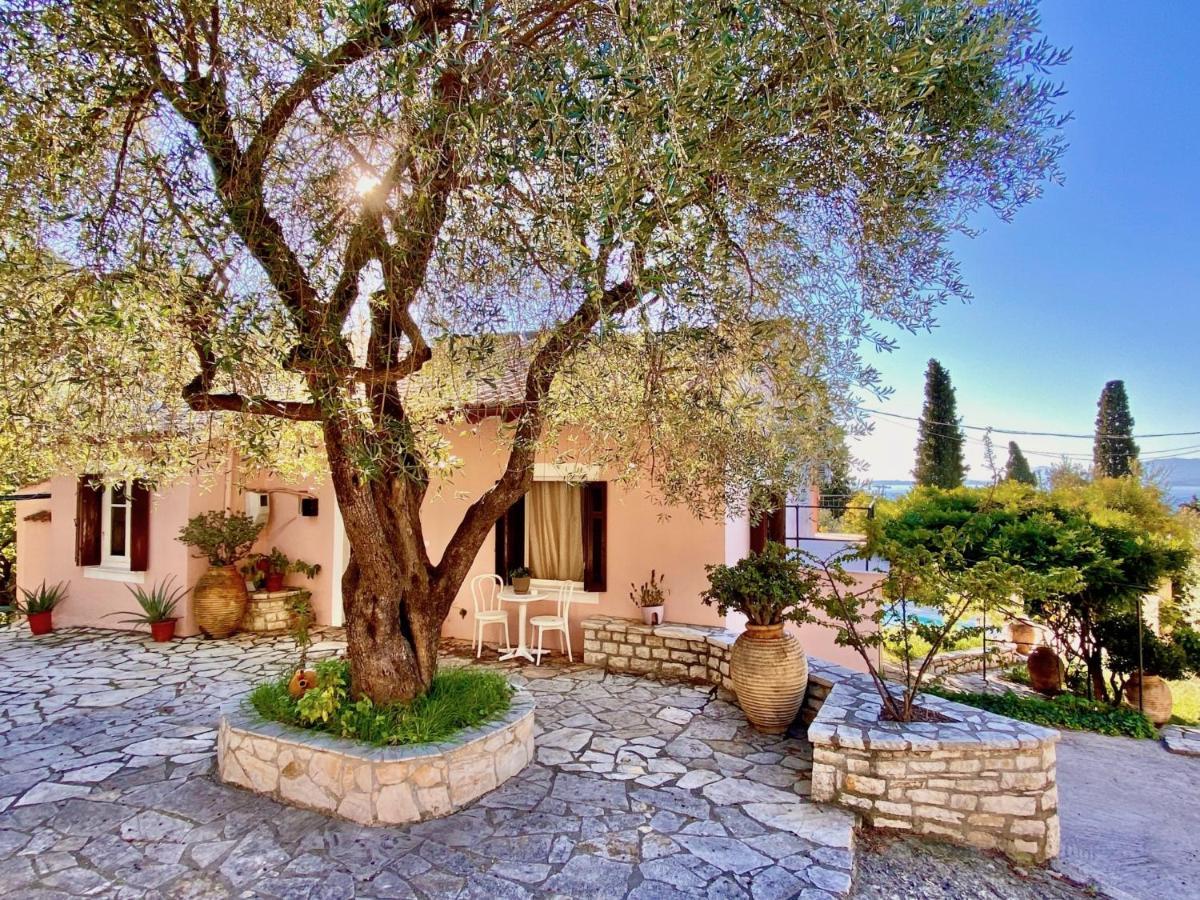 Villa Aliki Nissaki With Private Pool By Dadovillas Nisaki  外观 照片